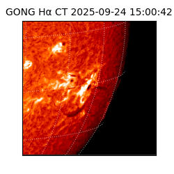 gong - 2025-09-24T15:00:42