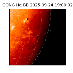 gong - 2025-09-24T19:00:02