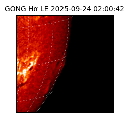 gong - 2025-09-24T02:00:42
