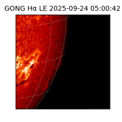 gong - 2025-09-24T05:00:42