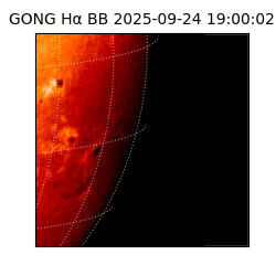 gong - 2025-09-24T19:00:02