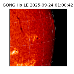 gong - 2025-09-24T01:00:42
