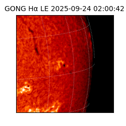 gong - 2025-09-24T02:00:42