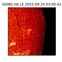 gong - 2025-09-24T03:00:42