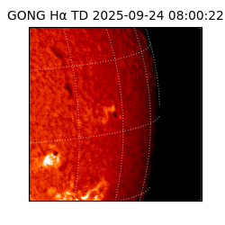 gong - 2025-09-24T08:00:22