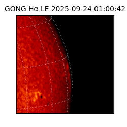 gong - 2025-09-24T01:00:42