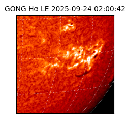 gong - 2025-09-24T02:00:42