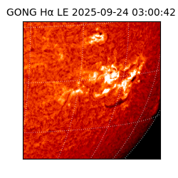 gong - 2025-09-24T03:00:42