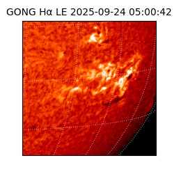 gong - 2025-09-24T05:00:42