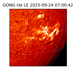 gong - 2025-09-24T07:00:42