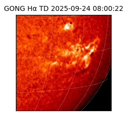 gong - 2025-09-24T08:00:22