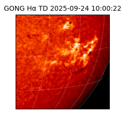 gong - 2025-09-24T10:00:22