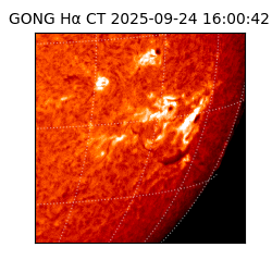 gong - 2025-09-24T16:00:42