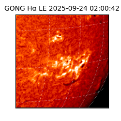 gong - 2025-09-24T02:00:42