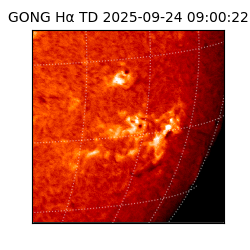 gong - 2025-09-24T09:00:22