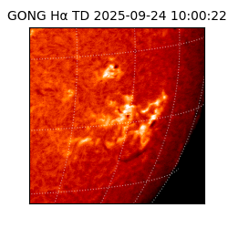 gong - 2025-09-24T10:00:22