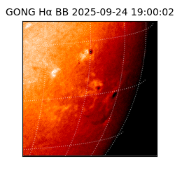 gong - 2025-09-24T19:00:02