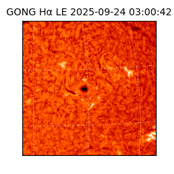gong - 2025-09-24T03:00:42