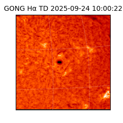 gong - 2025-09-24T10:00:22