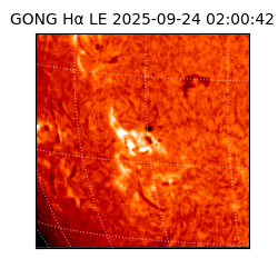 gong - 2025-09-24T02:00:42