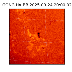 gong - 2025-09-24T20:00:02