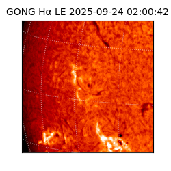 gong - 2025-09-24T02:00:42