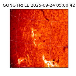 gong - 2025-09-24T05:00:42