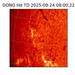 gong - 2025-09-24T08:00:22