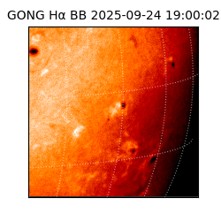 gong - 2025-09-24T19:00:02