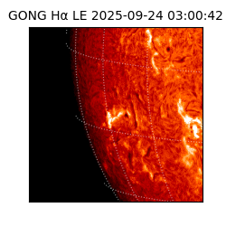 gong - 2025-09-24T03:00:42