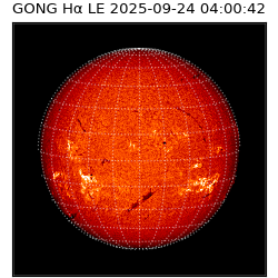 gong - 2025-09-24T04:00:42