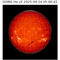 gong - 2025-09-24T05:00:42