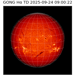 gong - 2025-09-24T09:00:22