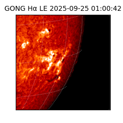 gong - 2025-09-25T01:00:42