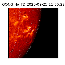 gong - 2025-09-25T11:00:22