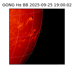 gong - 2025-09-25T19:00:02