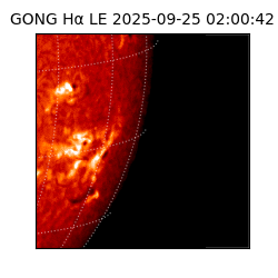 gong - 2025-09-25T02:00:42