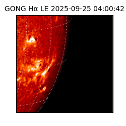 gong - 2025-09-25T04:00:42