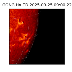 gong - 2025-09-25T09:00:22