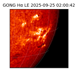 gong - 2025-09-25T02:00:42