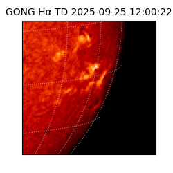 gong - 2025-09-25T12:00:22
