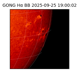 gong - 2025-09-25T19:00:02