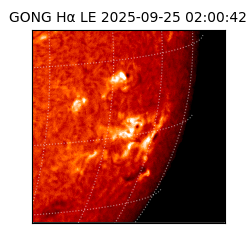 gong - 2025-09-25T02:00:42