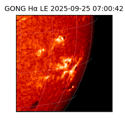gong - 2025-09-25T07:00:42