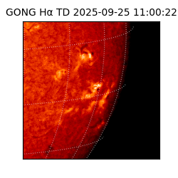 gong - 2025-09-25T11:00:22