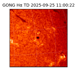 gong - 2025-09-25T11:00:22
