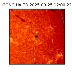 gong - 2025-09-25T12:00:22