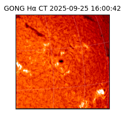 gong - 2025-09-25T16:00:42