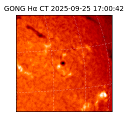 gong - 2025-09-25T17:00:42