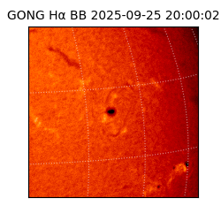 gong - 2025-09-25T20:00:02